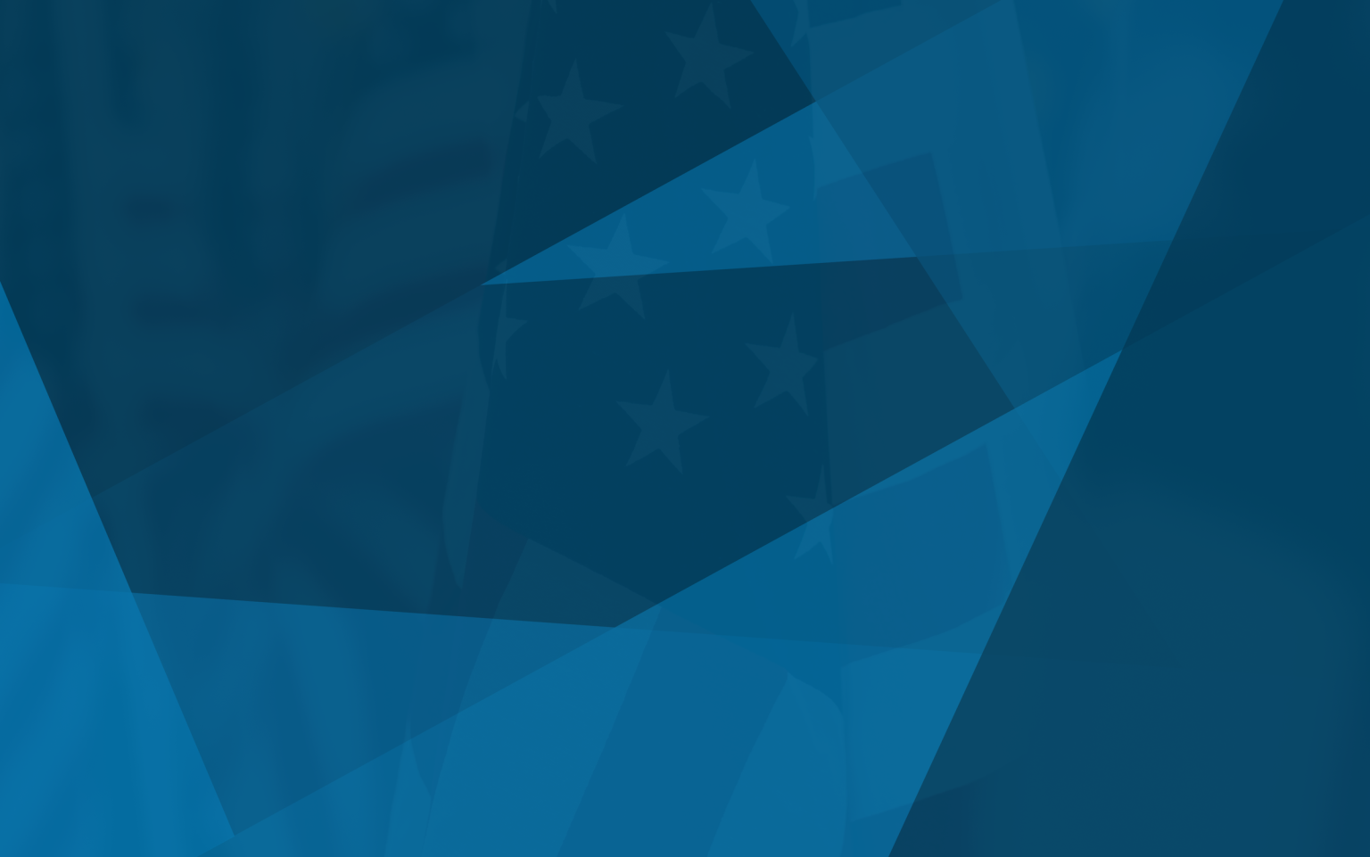 PDFForm 205 - Certificate of Formation - Limited Liability Company